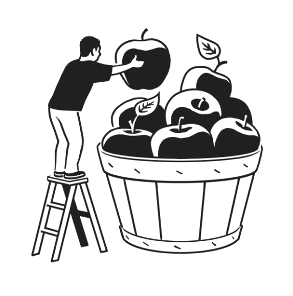 Illustration of a man putting apples in a basket